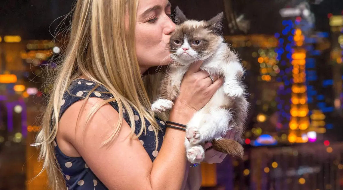 O pisică a câştigat în ultimii doi ani mai mulţi bani decât cele mai mari vedete de la Hollywood | FOTO