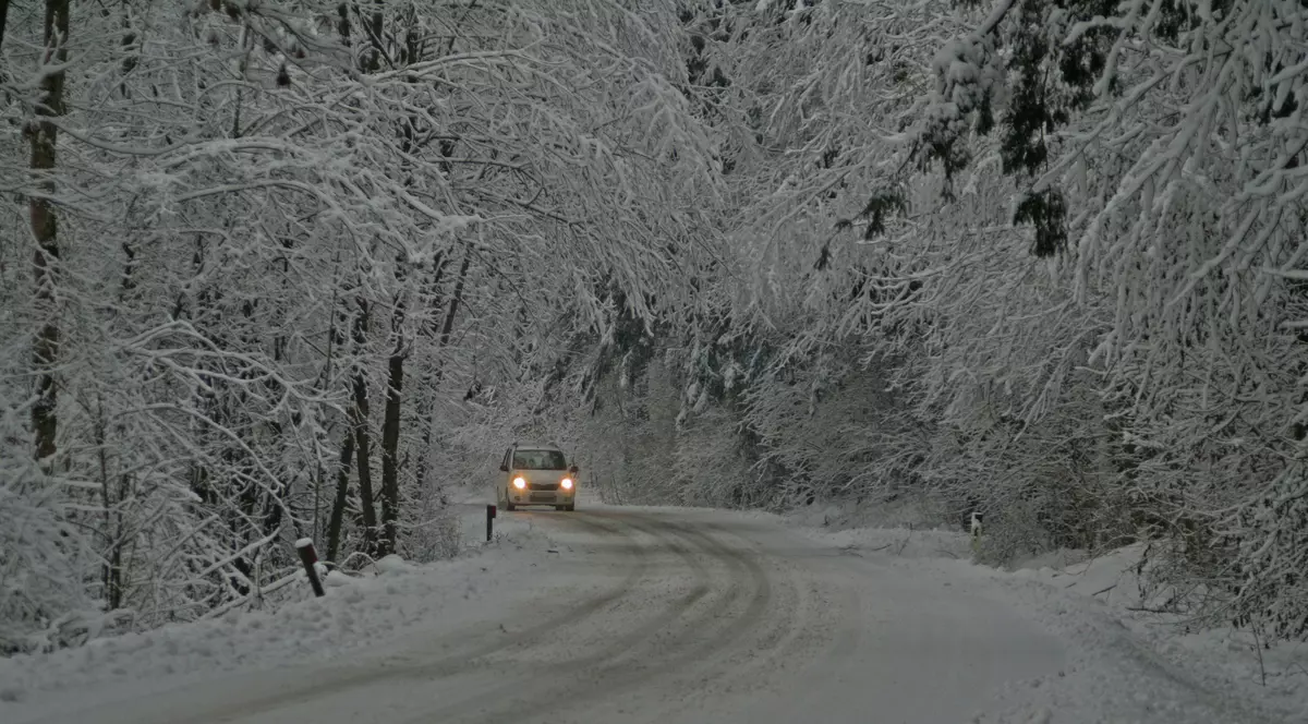 COD GALBEN DE NINSOARE ŞI VÂNT, în Bucureşti şi  24 de judeţe