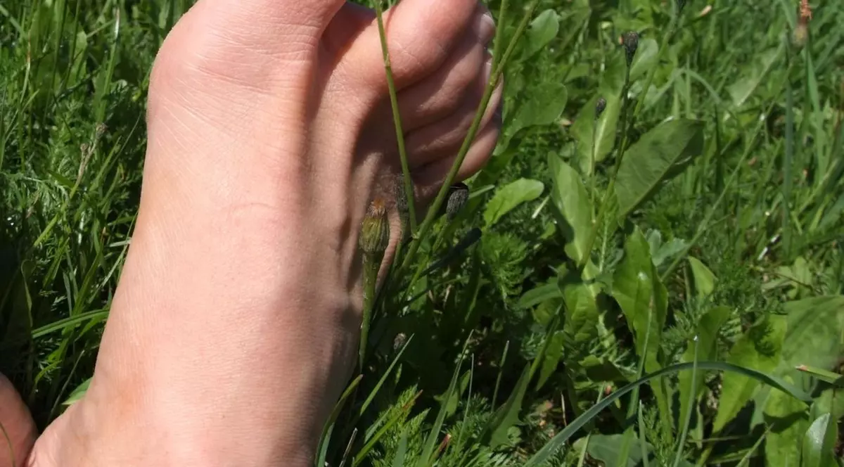 Descoperire terifiantă în judeţul Constanţa! Picior de om găsit într-un balot de lucernă!