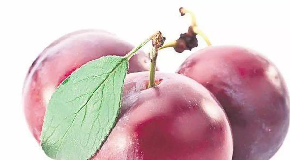 Ce să mănânci ca SĂ TRĂIEȘTI MAI MULT