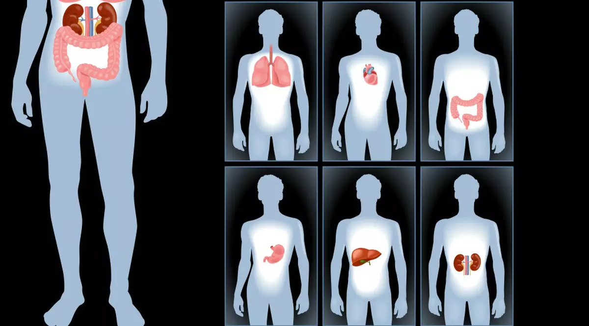 Cum ştii ce organ are nevoie de detoxifiere
