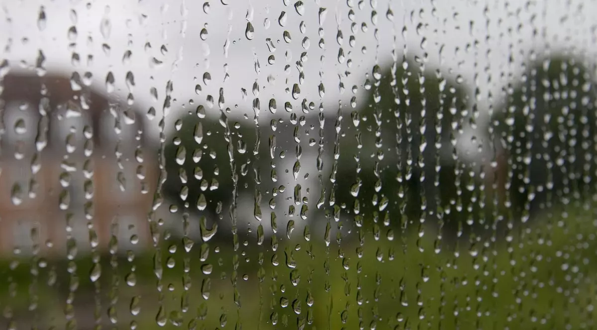 PROGNOZA METEO | Cum va fi VREMEA în WEEKEND