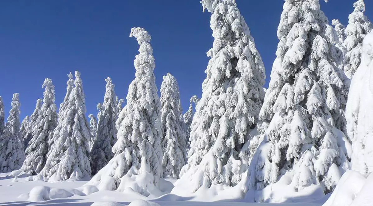 Peisaj mirific din inima Carpaților. Vezi imagini spectaculoase surprinse de un fotograf amator