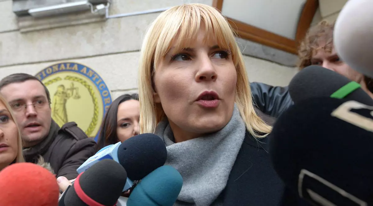 Ce spune SRI despre acuzațiile aduse de Elena Udrea 