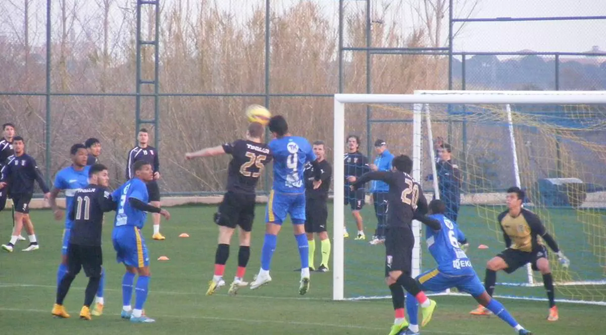 Astra Giurgiu n-a avut nicio șansă în fața puternicei Hoffenheim