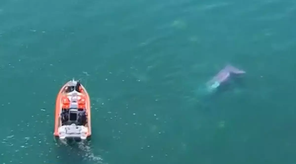 Mai ceva ca-n filme! 13 oameni au sărit cu paraşuta dintr-un avion care s-a prăbuşit într-un lac | VIDEO