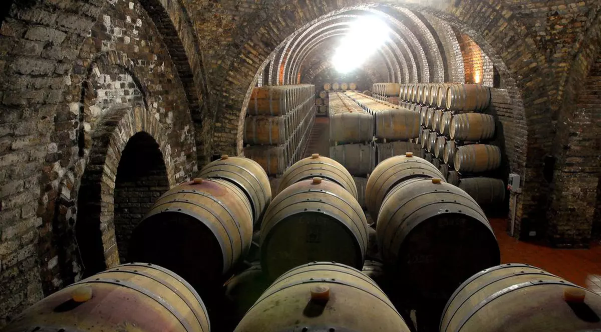 Cel mai vechi VIN din lume va fi mutat într-un nou butoi. E din 1472! 
