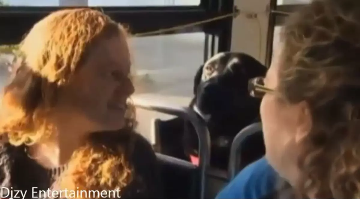 Acesta este probabil cel mai inteligent câine din lume! Uite ce a învățat să facă | VIDEO 