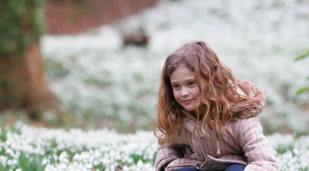 PROGNOZA METEO pe trei luni. Cum va fi VREMEA până în MARTIE