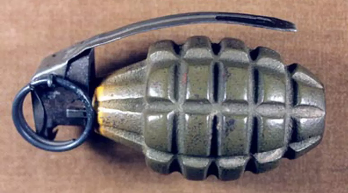 Un copil din SUA a murit, după ce o grenadă cumpărată dintr-un magazin de antichități a explodat