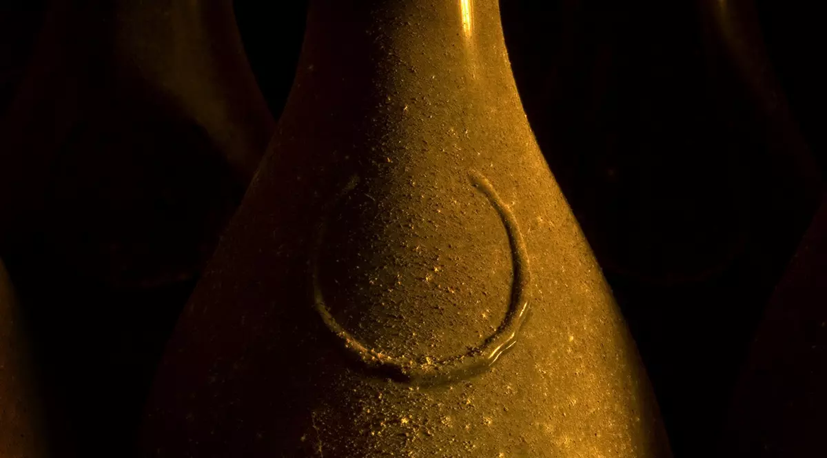 SENZAȚIONAL! Și-a SALVAT SORA DE LA MOARTE cu o STICLĂ DE VIN! 