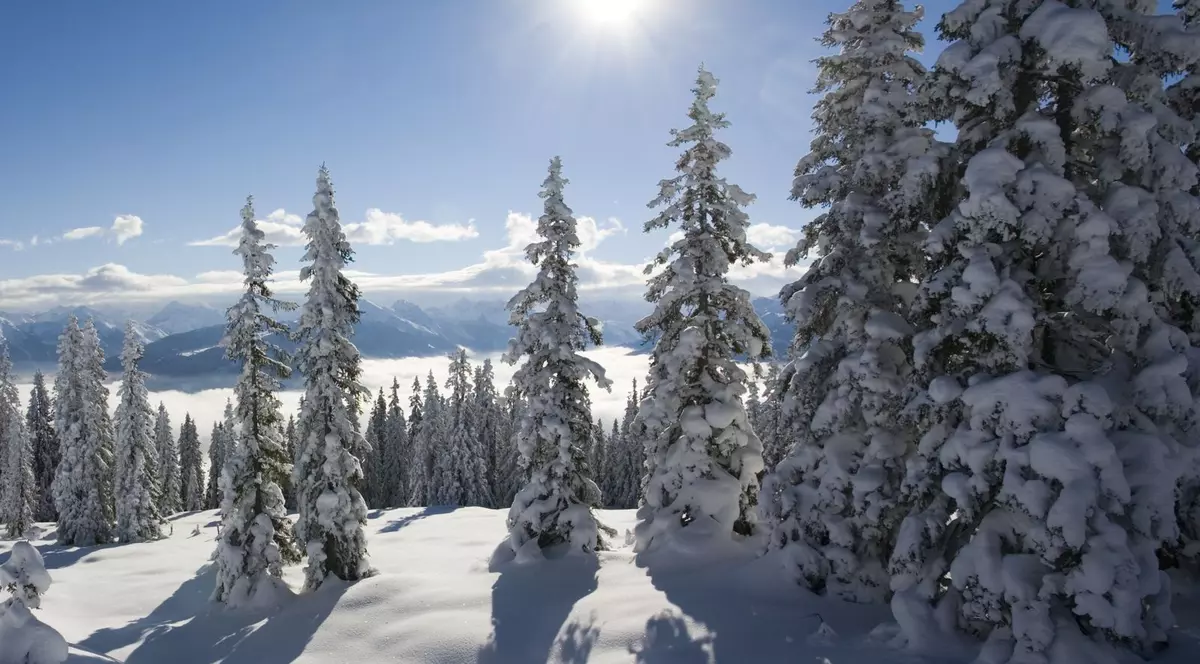 Cum va fi VREMEA marţi şi miercuri: Prognoza meteo în ţară şi în Bucureşti