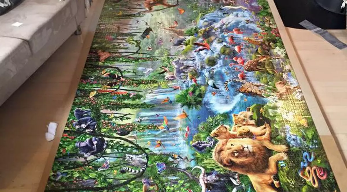 O tânără de 19 ani a rezolvat cel mai mare puzzle din lume | FOTO