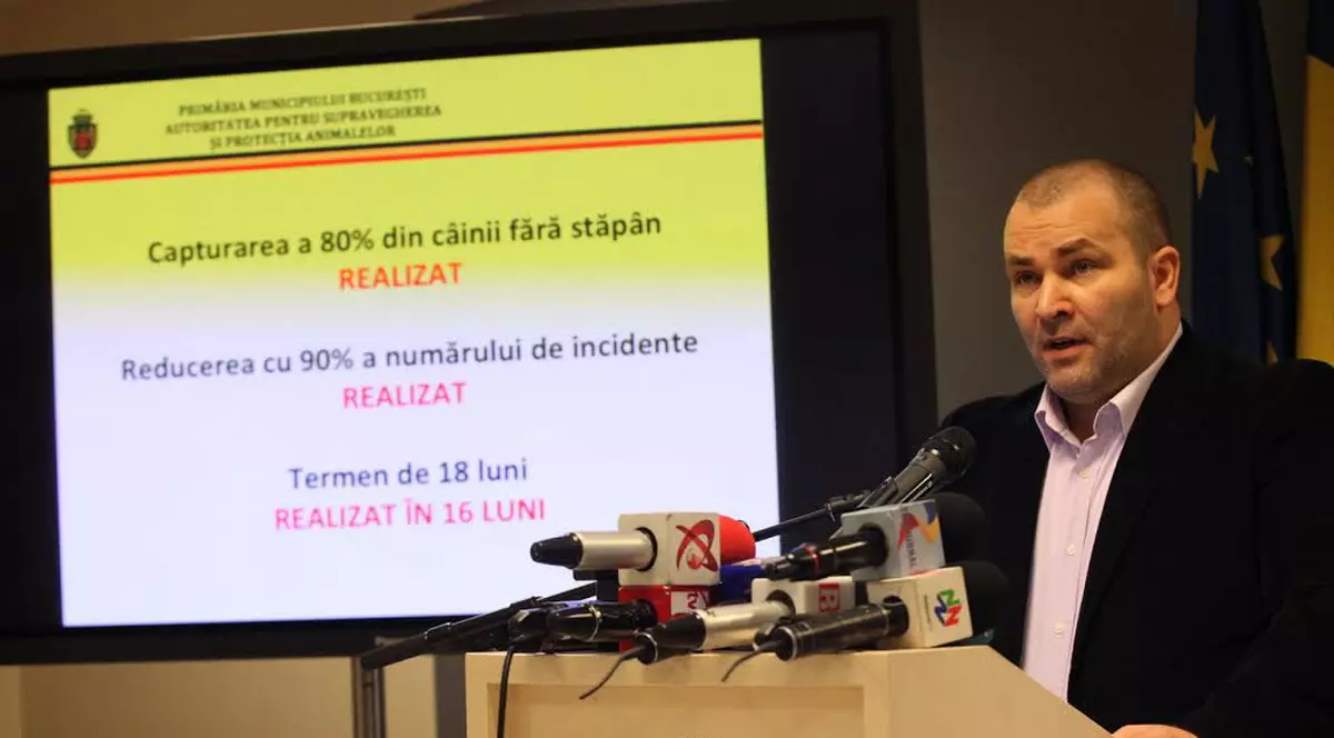 Numărul oamenilor mușcați de câinii fără stăpân s-a redus cu 90%