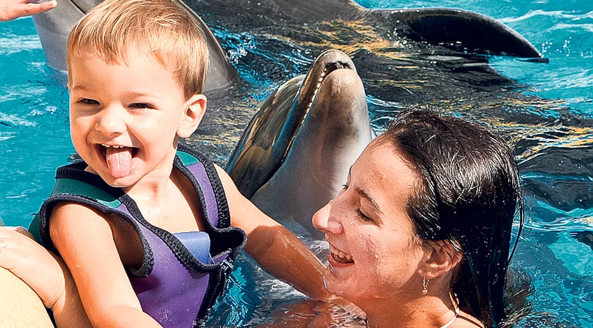 Nou în România! La dans cu delfinii