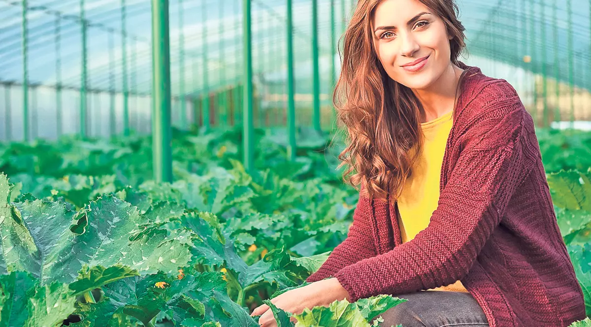 Construieşte un solar! Consumă legume proaspete, cultivate de mâna ta