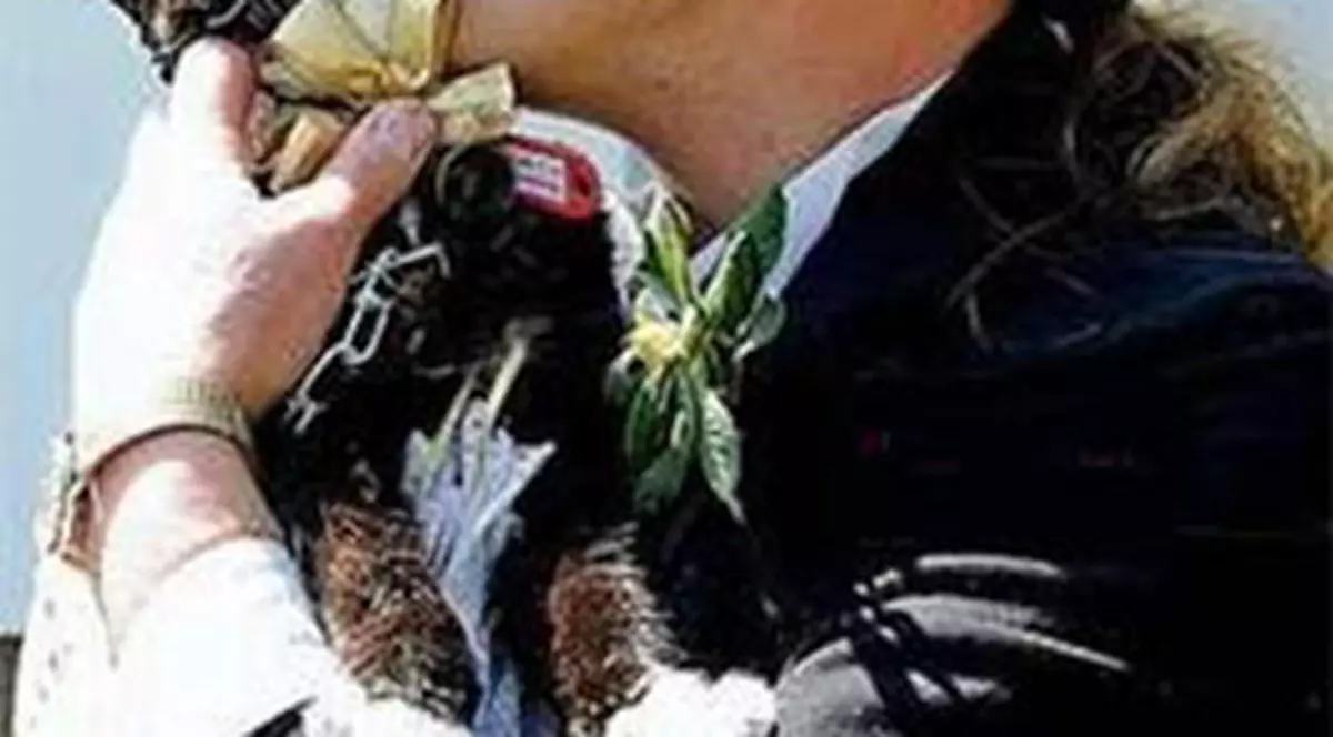 CELE MAI CIUDATE CĂSĂTORII DIN LUME