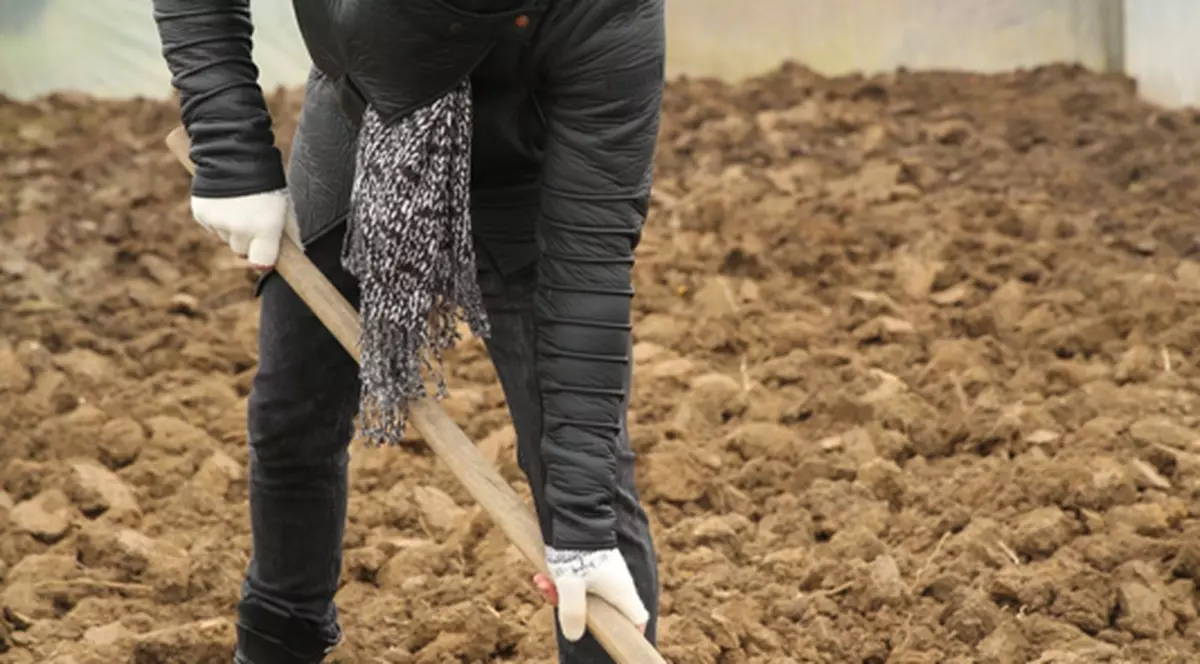 Fost component LaLaBand a ajuns să facă MUNCI AGRICOLE