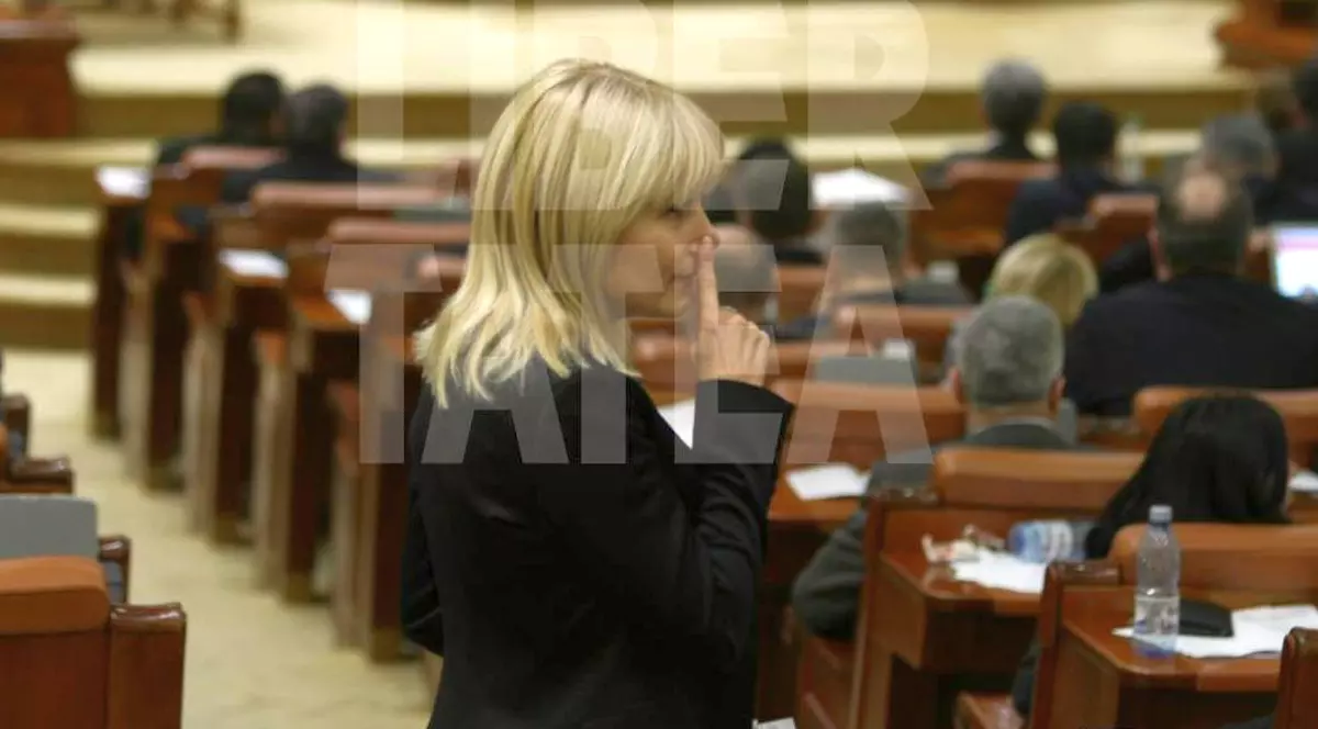 Ruxandra Dragomir: Știu ce înseamnă gestul făcut de Elena Udrea 