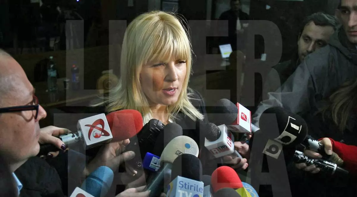 Elena Udrea nu poate să-şi renoveze celula pe banii ei