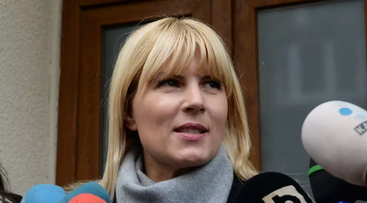 Cum se apără Elena Udrea, după ce DNA a cerut arestarea ei