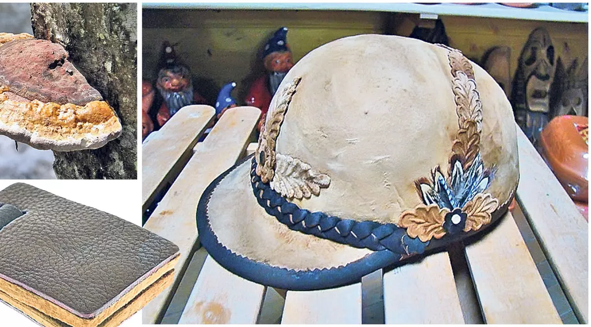 Germanii ar dori să le vindem obiecte din iască!