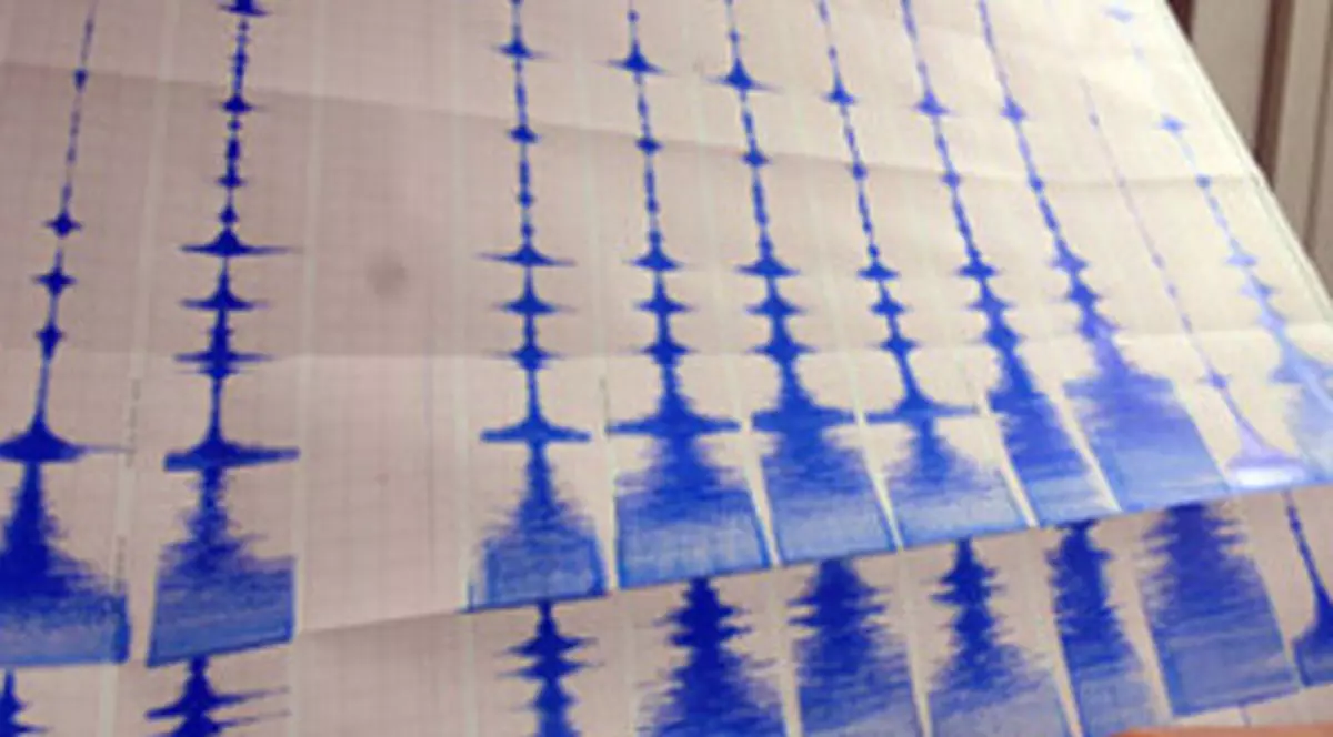 UN NOU CUTREMUR ÎN VRANCEA. S-a întâmplat în această dimineaţă