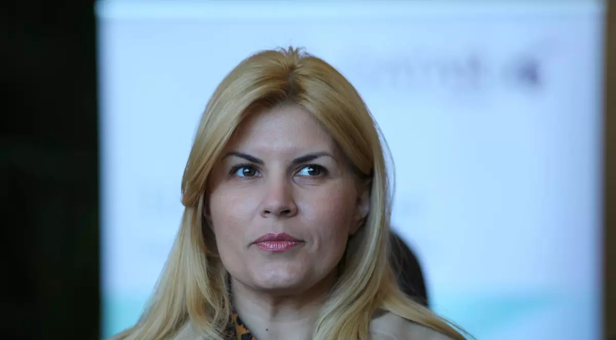 Elena Udrea începe să cedeze: „Toate campaniile electorale se finanțează cu bani negri”