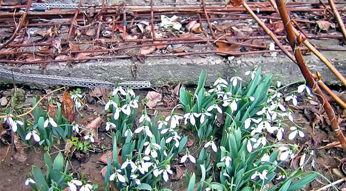 PROGNOZA METEO pentru următoarele două săptămâni. Când se ÎNCĂLZEȘTE și cum va fi VREMEA de 1 MARTIE