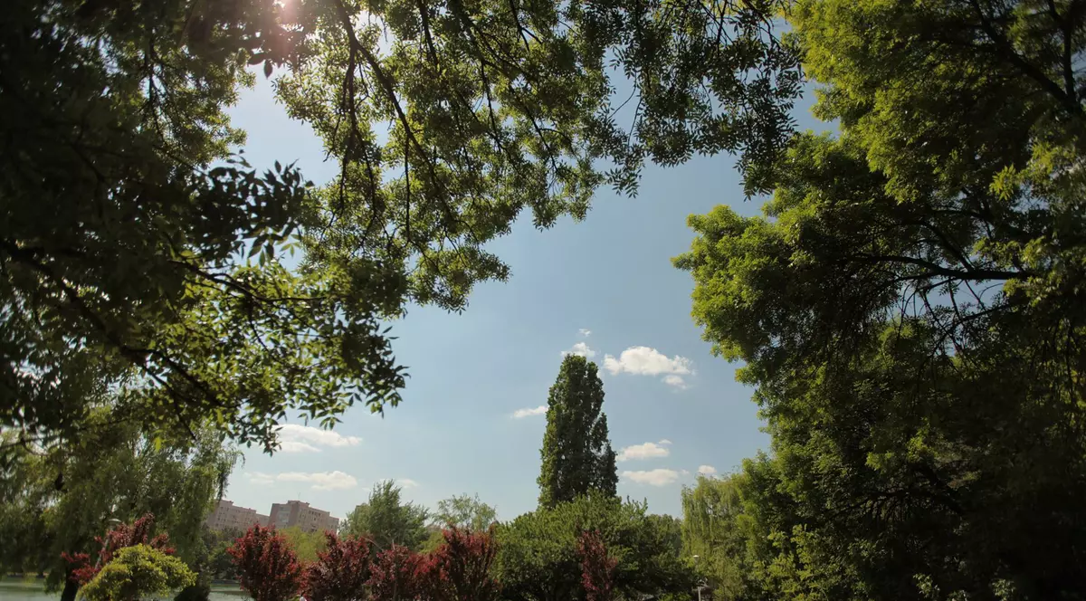 Nu mai SUPORTĂ! Bucureștenii din Sectorul 6 IES în STRADĂ, în acest weekend