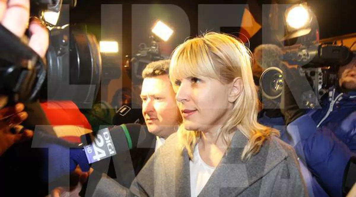 Probleme la Parlament pentru Udrea! Vezi ce au hotărât deputații