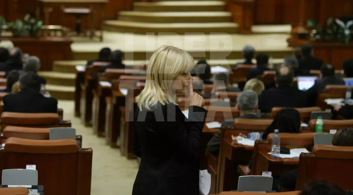 GESTUL Elenei Udrea, interpretat de senatorul Savu: "Băsescu, aştept să mă salvezi!"