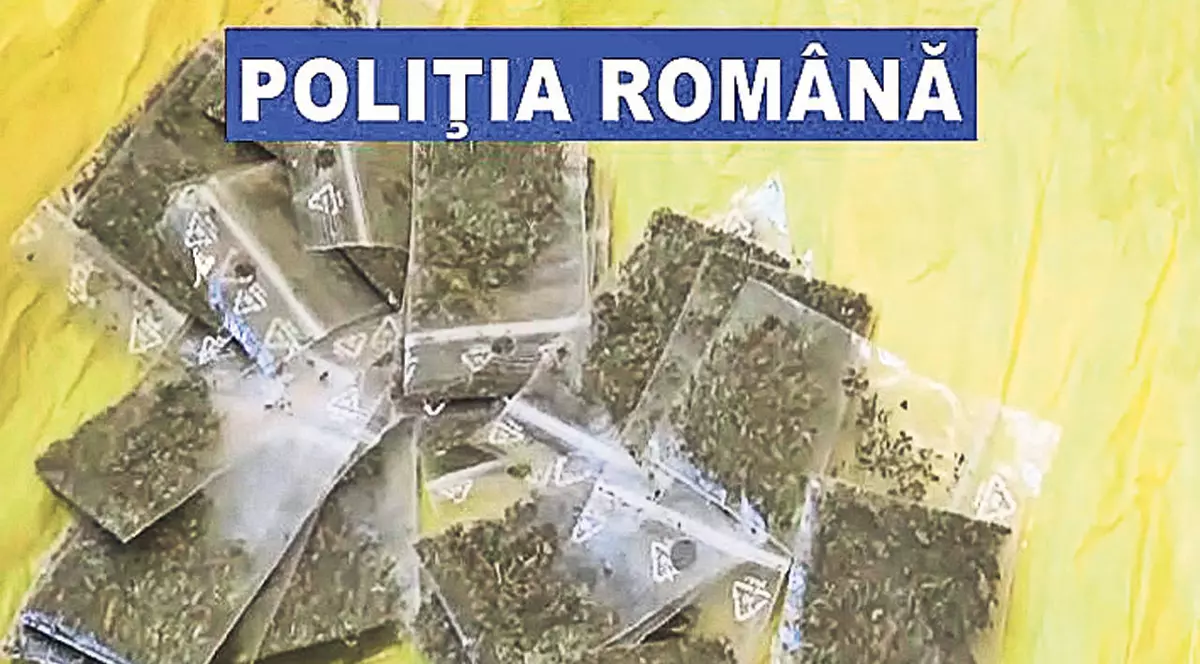 Peste 900 de plicuri retrase din magazinul ANAF Gorj sunt droguri