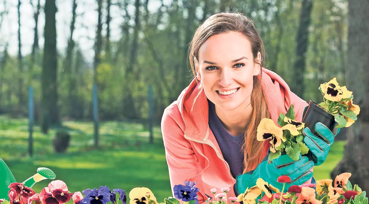 Plantează panseluţe la ora prânzului! Află ce aşteaptă de la tine, la sfârşit de martie, şi celelalte plante din casă şi din grădină