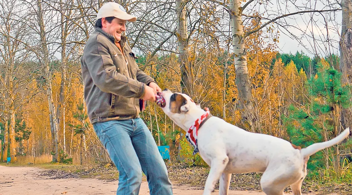 Atenţie, câine periculos! Amenzi şi închisoare pentru stăpân, dacă nu respectă legea