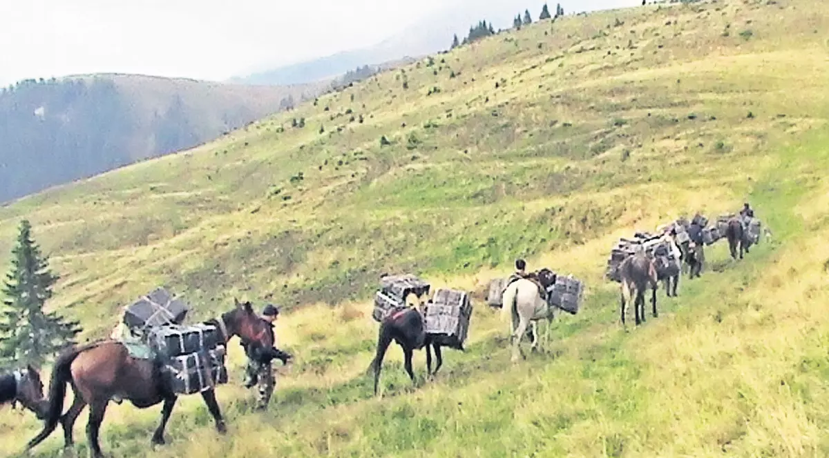 NU SUNT IMAGINI DIN FILMELE LUI SERGIU NICOLAESCU! Așa arată CARAVANA CONTRABANDIȘTILOR DIN NORDUL ȚĂRII