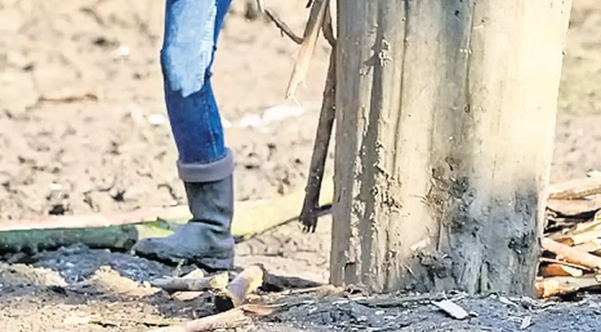 Doiniţa Oancea a mutat sala de forţă în fermă