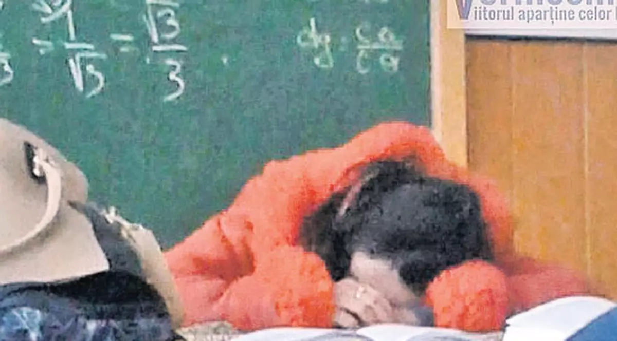 Își face somnul de frumusețe în timpul orelor