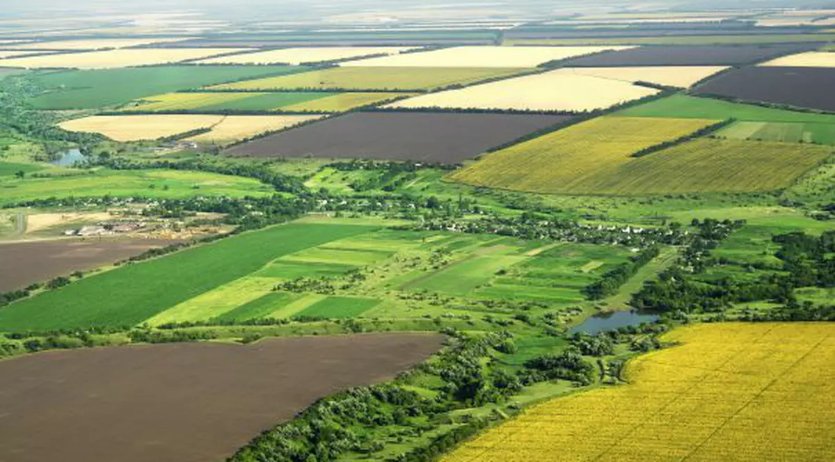 Se limitează dreptul de a cumpăra terenuri agricole în România