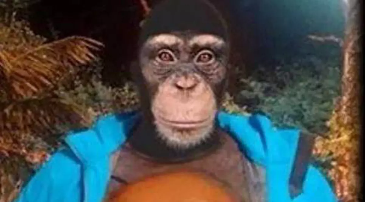 Cabral a fos JIGNIT! A fost făcut...”maimuţă”