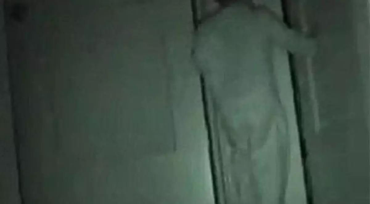 UIMITOR! Au montat camere pentru a vedea ce face copilul lor de doi ani, în toiul nopții. Au rămas MUȚI | VIDEO 