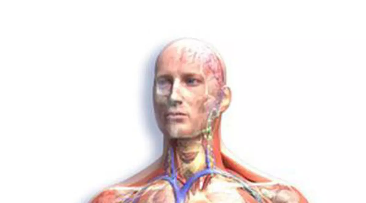 Șapte curiozități ABSOLUT INCREDIBILE despre CORPUL UMAN