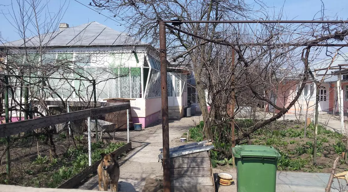 I-a strivit capul cu fierul de călcat pentru banii de pensie