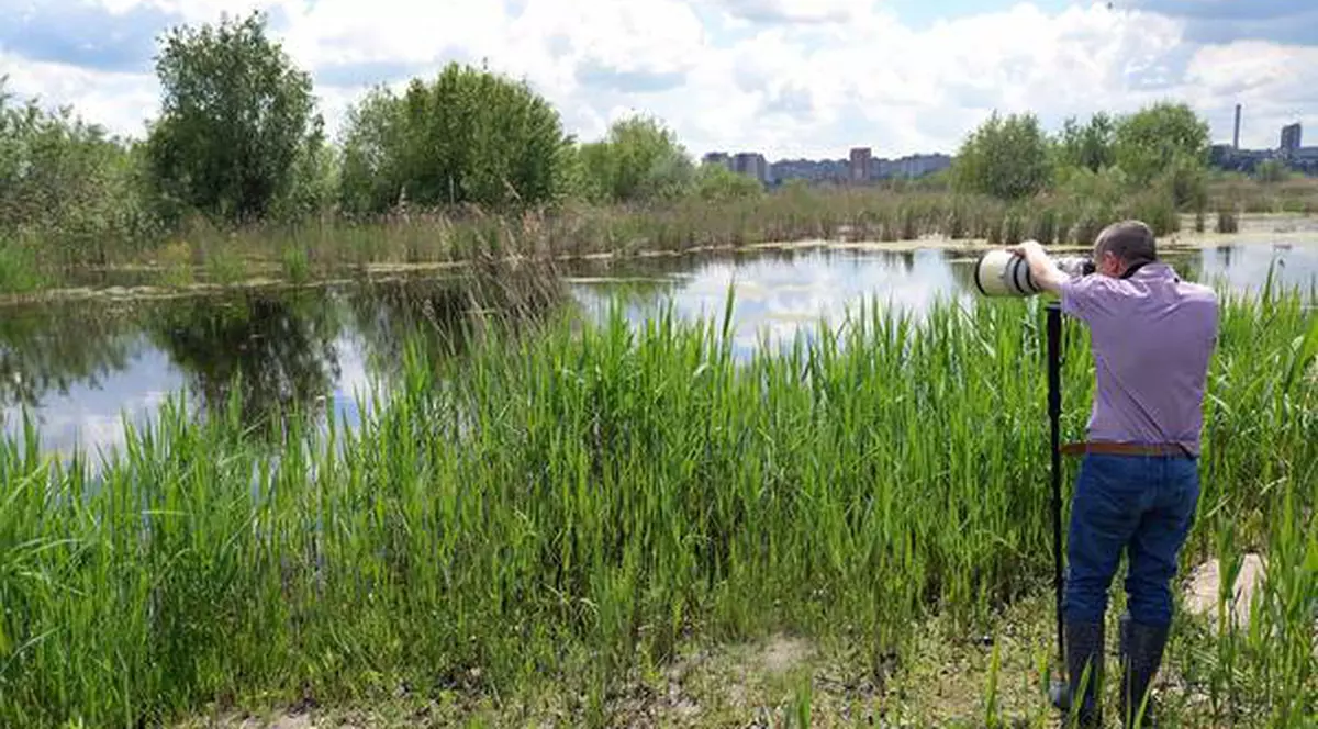 Incendiu întins pe cinci hectare în Bucureşti!
