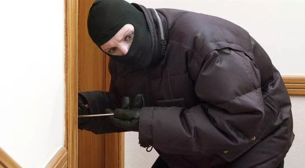 Ce mai FURĂ GĂINARII din ROMÂNIA