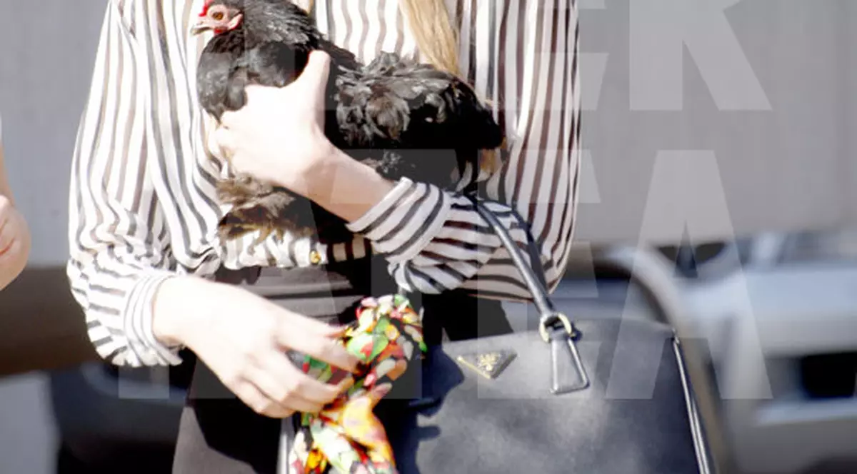 EXCLUSIV/ Iulia Albu șochează cu un nou animal de companie! Vezi cum îl sărută cu foc, direct în cioc!