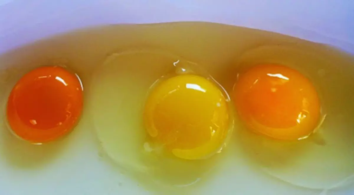 GHICEȘTI OUL SĂNĂTOS? Vezi ce semnifică de fapt culoarea gălbenușului