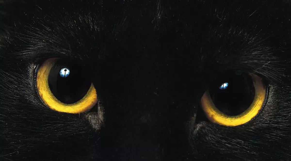 Atenție! Mâine este VINERI 13