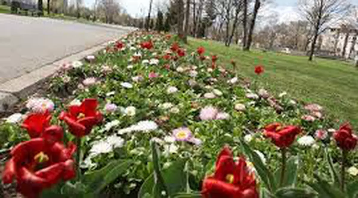 Cum se schimbă vremea în următoarele zile