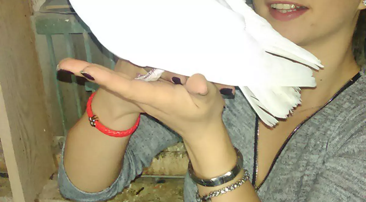 Steliana Nistor, îndrăgostită de un....porumbel! Nu e nici o glumă